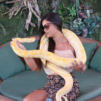 annesantos_oficial
