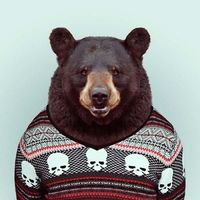 оригинальный звук