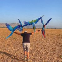 kingdomofparrot