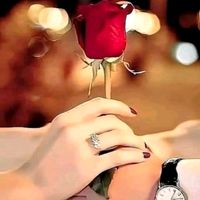 userleenkab262