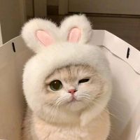 khazaim_khan804