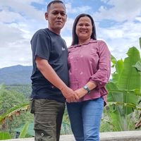 suara asli - setoris