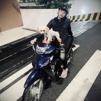 nhạc nền - Long Quận Tư
