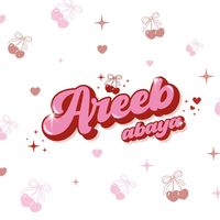 areebabaya