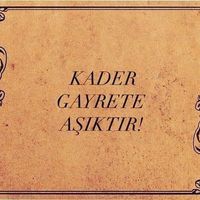 baki_evleri_