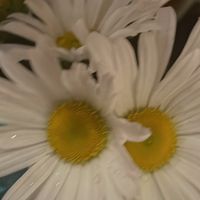 オリジナル楽曲 - t.