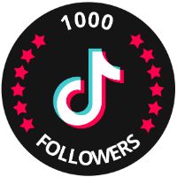 followerebisdamateba