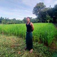 မူရင်းအသံ - NayLynnHtet-ကြည်ပု