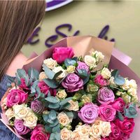 galaktica___888