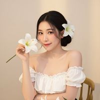 dreamjesita