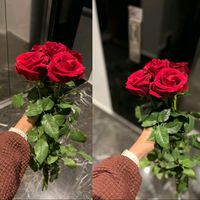 zarif_1kelebek_gul