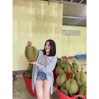 faiisiranee41
