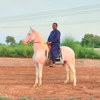 muhsin.ali.0