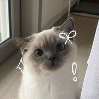 aomsin__kiki