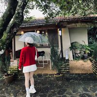 nhạc nền - Vũ 💛