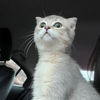mynameissssssb