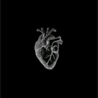 TikTok Account - https://p16-common.tiktokcdn-eu.com/tos-alisg-avt-0068/75c954100a3b057f15cf321cc7309957~tplv-tiktokx-cropcenter:200:200.jpeg