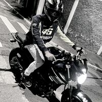 bl_grau01