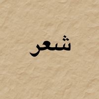 user_551155