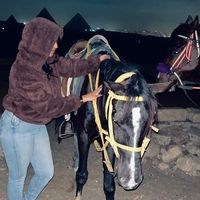 nora_keshoo