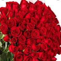 serpil_555