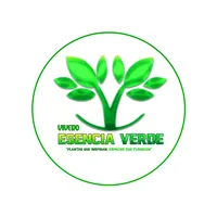 original sound - viveroesenciaverde2
