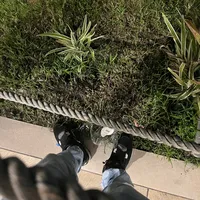 original sound - cuenta323848484233849