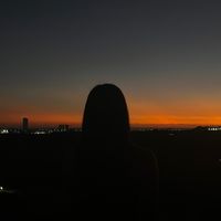 whsnaly