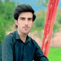 imtiazhussain.12