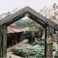 nhạc nền - Túi Mơ To - ngoại truyện