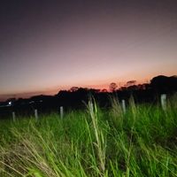 .herazo