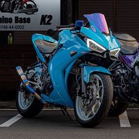 yzfr25mizu