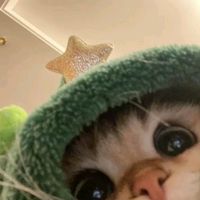 yaya_mri