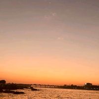 _vision_2082_