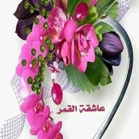 saleha.28