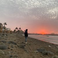 alexandercarlos13