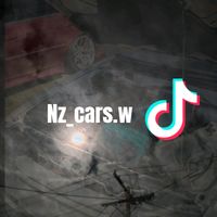 nz_cars.w