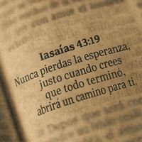 diosesmifortaleza023_