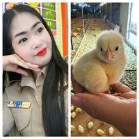 sringqnkwpc