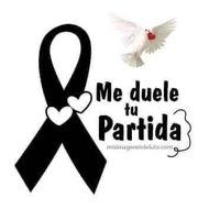 mari_cd24