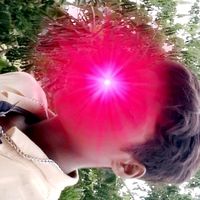 নিজস্ব শব্দ