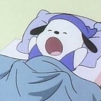 캡컷 템플릿이라 오사 만들지 말아줘요