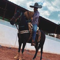 aarn.barrientos61
