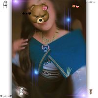 mer_cyy2007