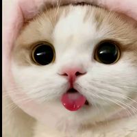 katenamaganda