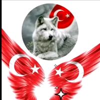 orijinal ses