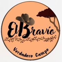 elbravioo