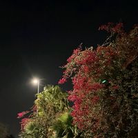 7.m_k1