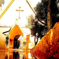 الصوت الأصلي