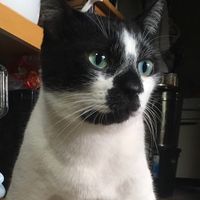 オリジナル楽曲 - 🌸鈴木隆司🌸